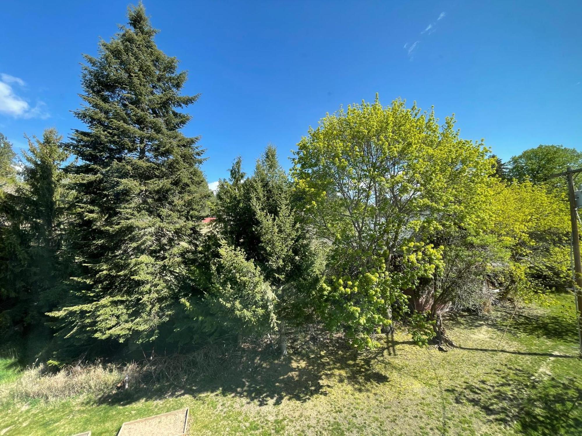 Northside School Bed & Breakfast Bonners Ferry Δωμάτιο φωτογραφία